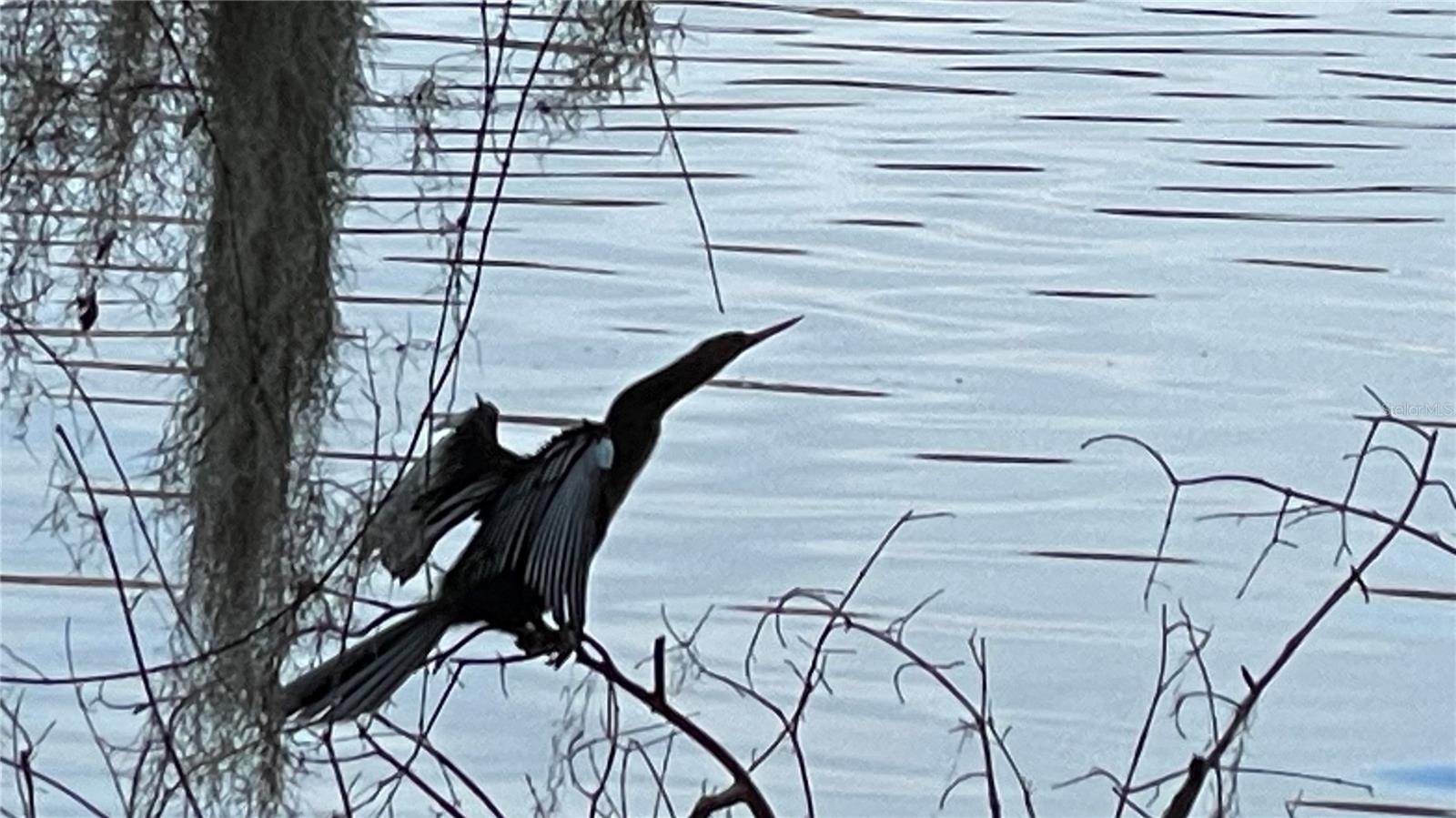 Image 28 of 36 For 2708 14th Drive 220