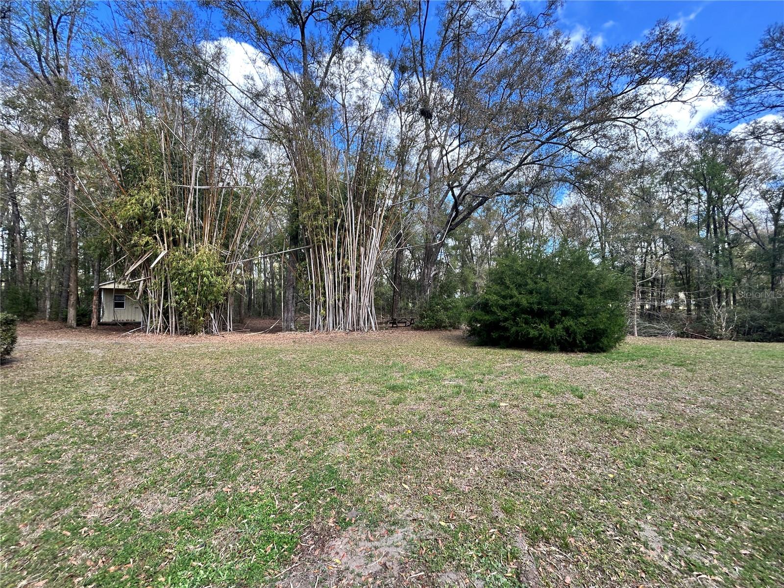 Image 13 of 42 For 19112 156th Avenue