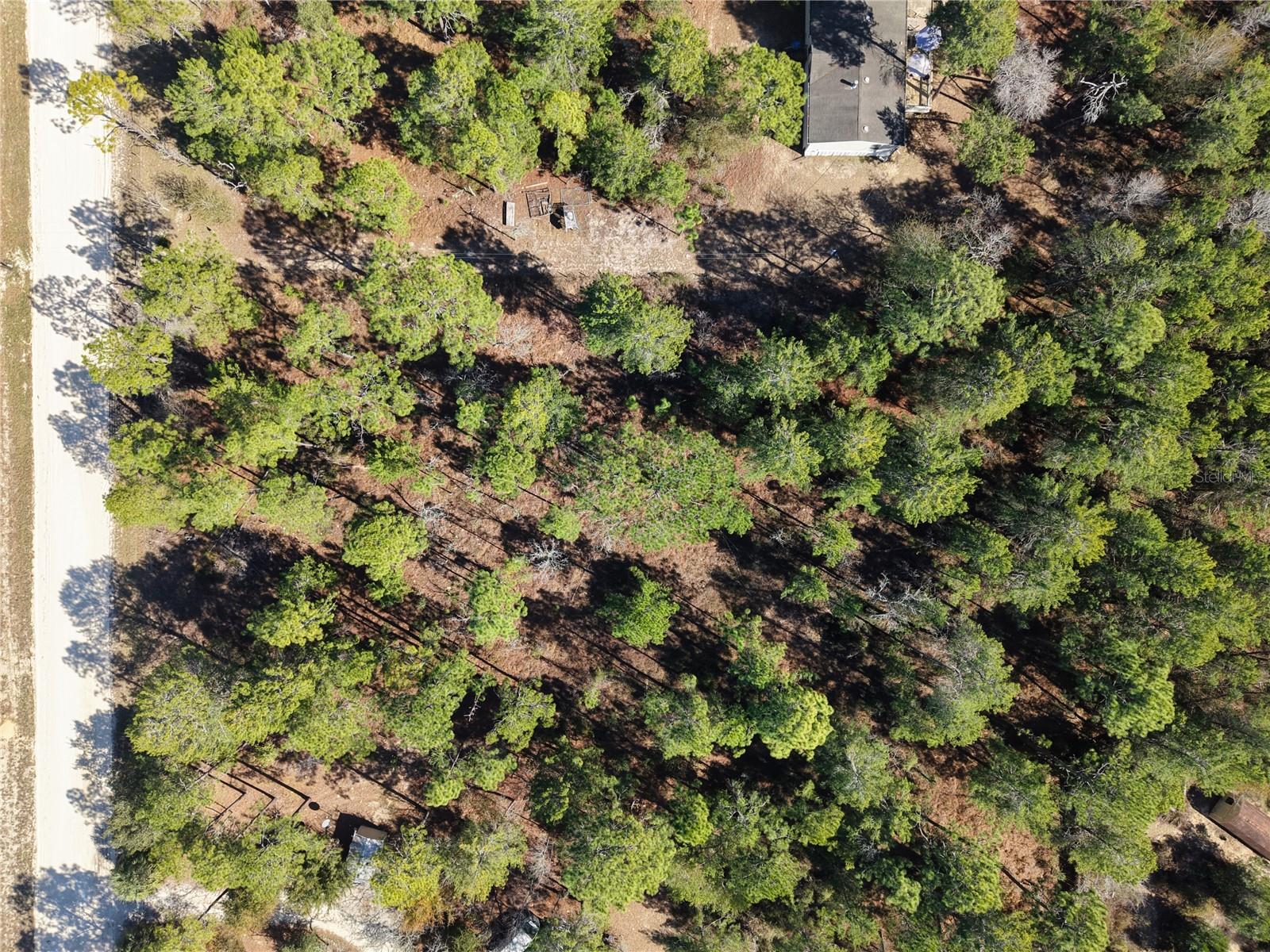 Image 8 of 15 For Tbd 00 6th Lane