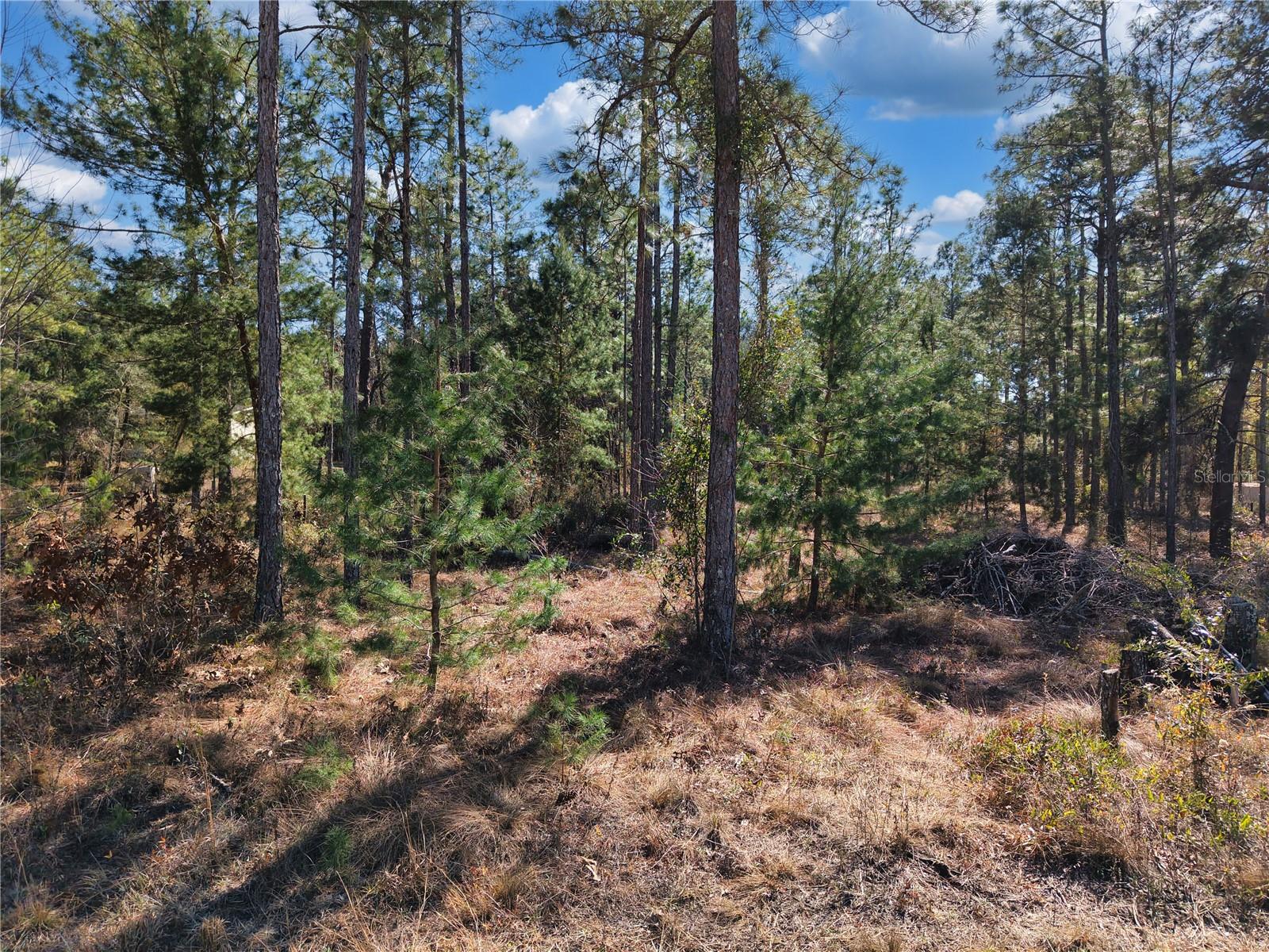 Image 9 of 15 For Tbd 00 6th Lane