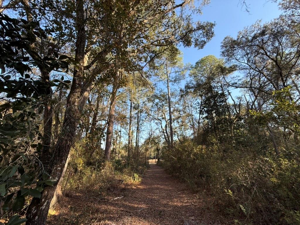 Details for 000 126 Street, BRONSON, FL 32621