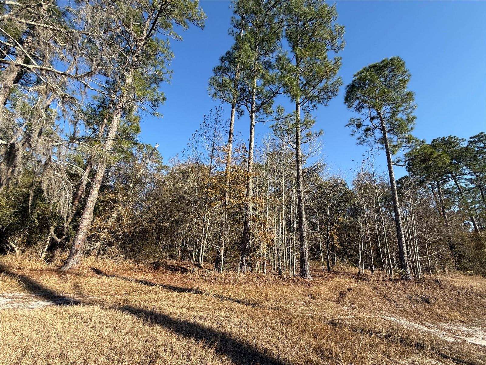 Image 11 of 19 For 000 126 Street