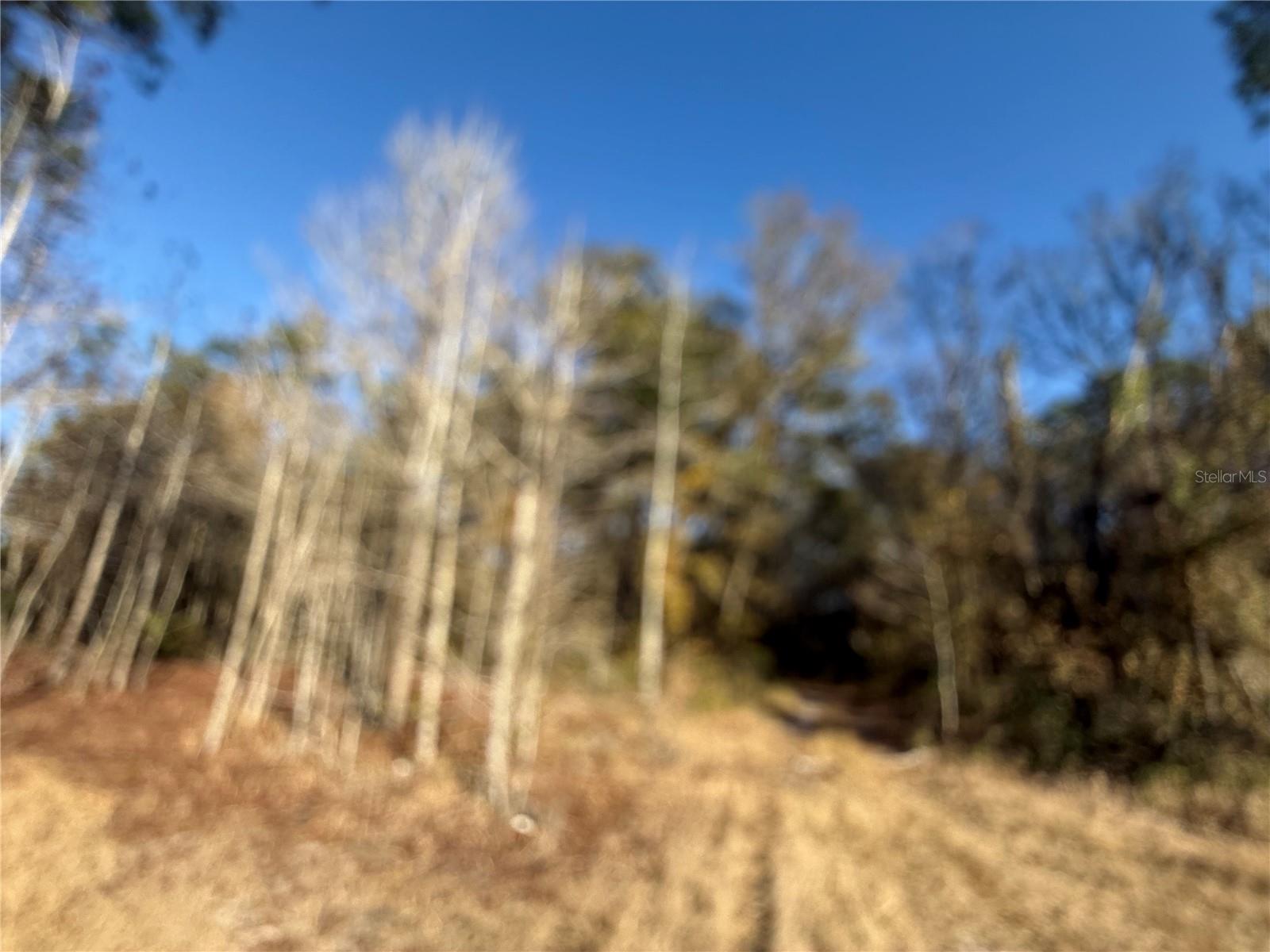 Image 12 of 19 For 000 126 Street