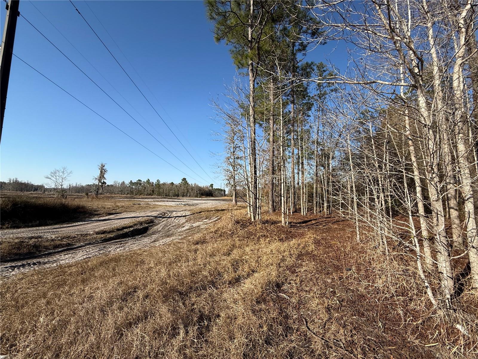 Image 14 of 19 For 000 126 Street