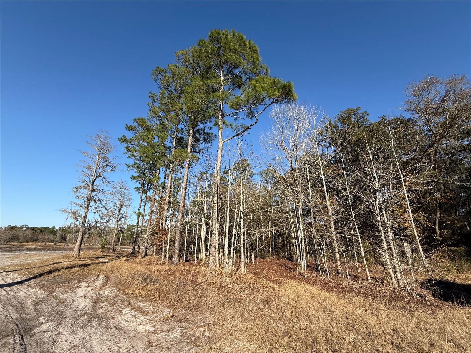 Image 15 of 19 For 000 126 Street