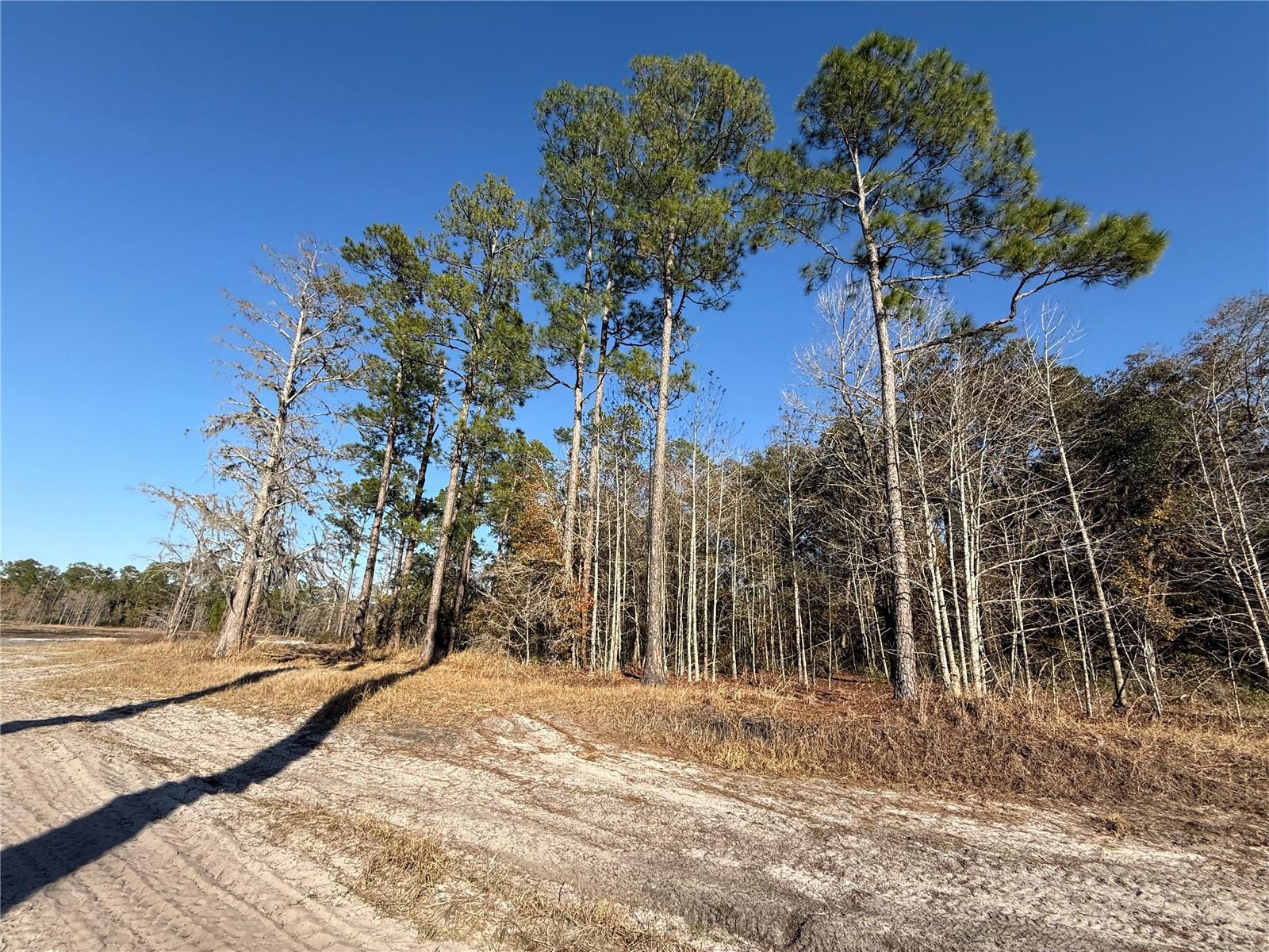 Image 16 of 19 For 000 126 Street