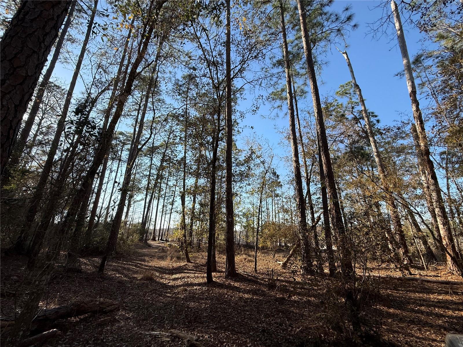 Image 3 of 19 For 000 126 Street