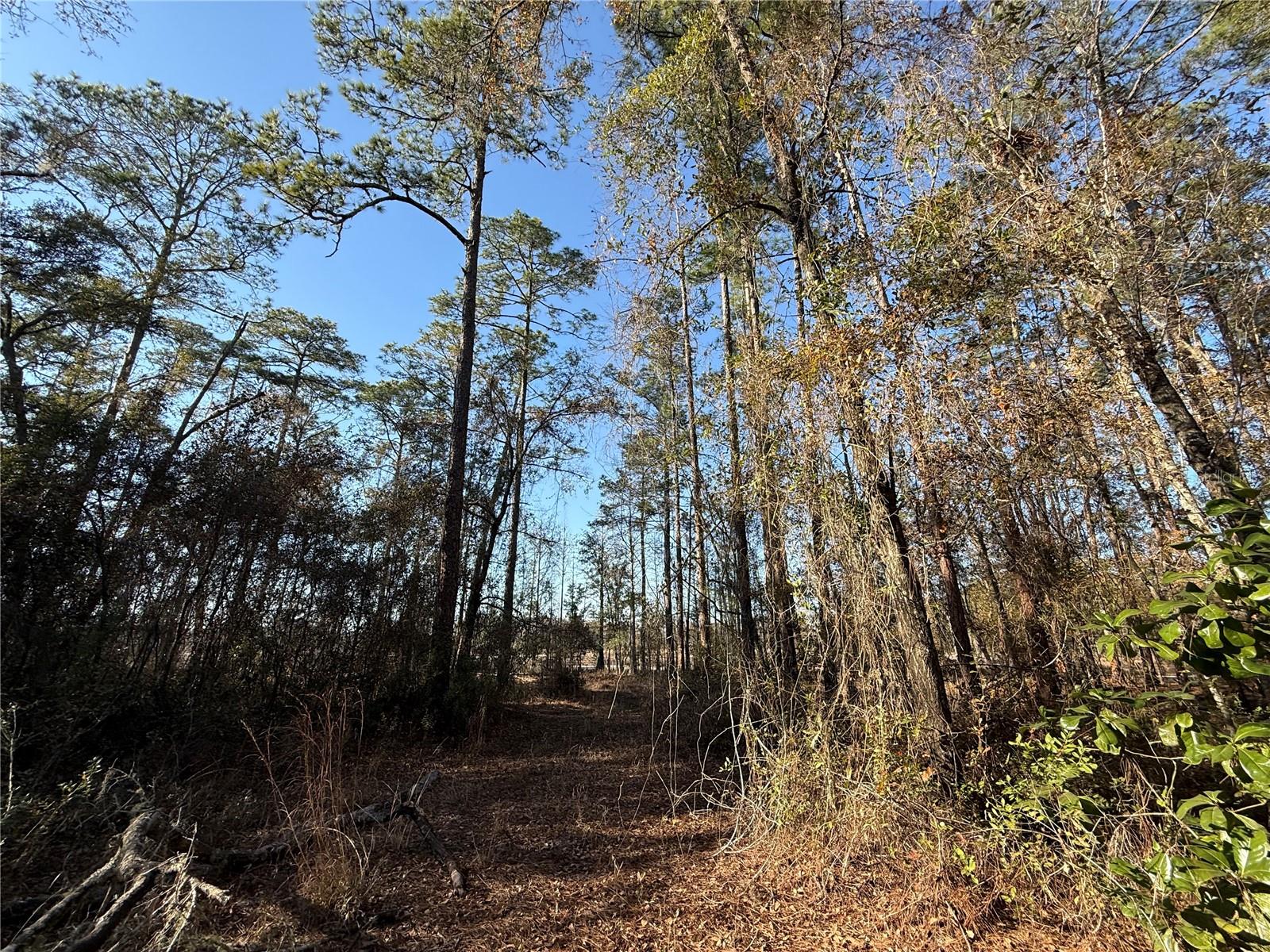 Image 4 of 19 For 000 126 Street