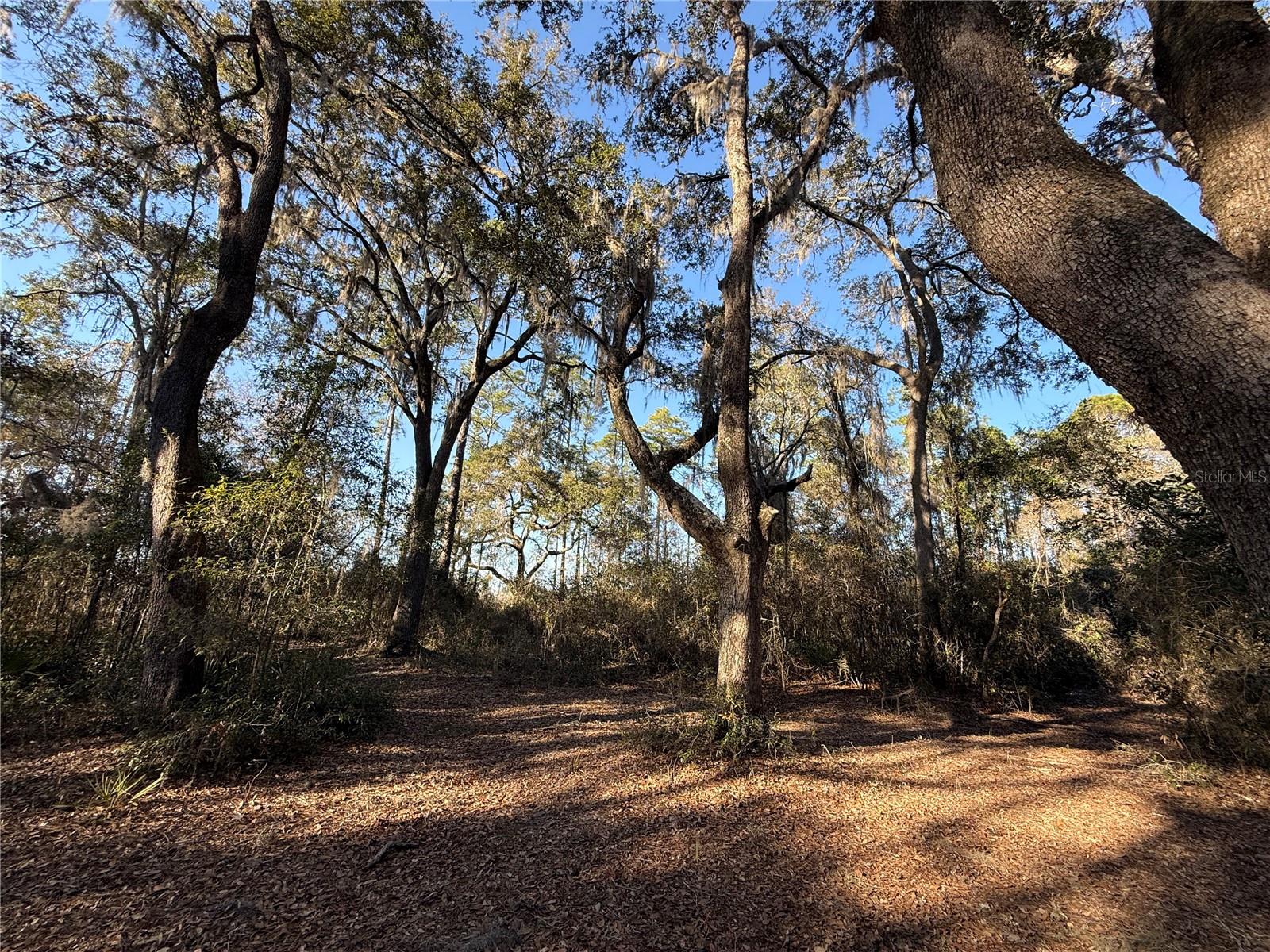 Image 5 of 19 For 000 126 Street