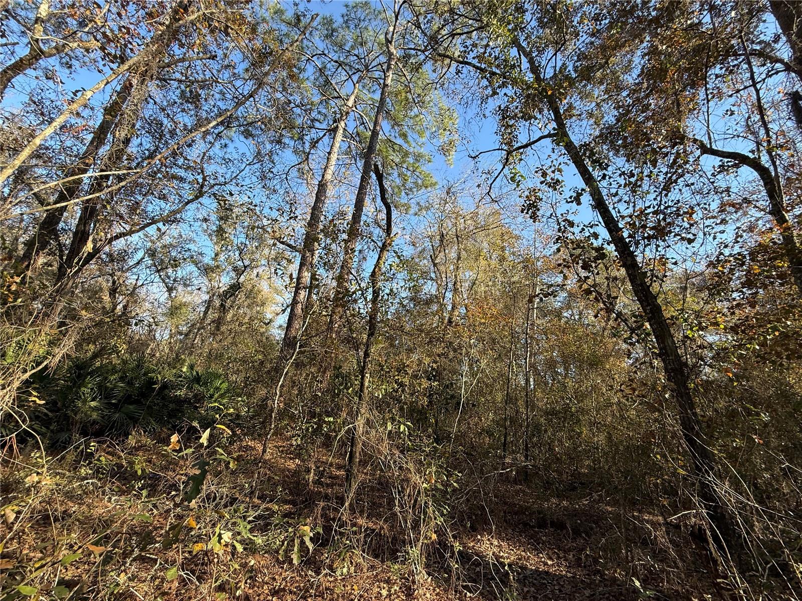 Image 6 of 19 For 000 126 Street