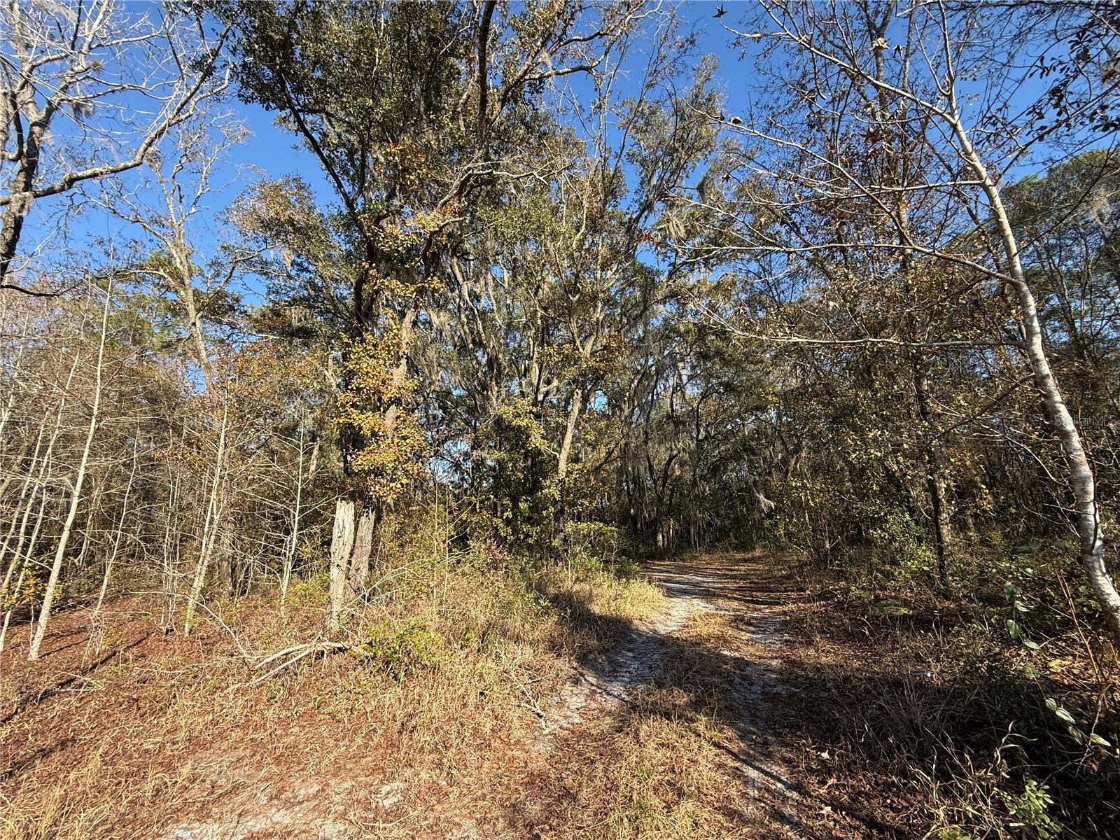 Image 8 of 19 For 000 126 Street