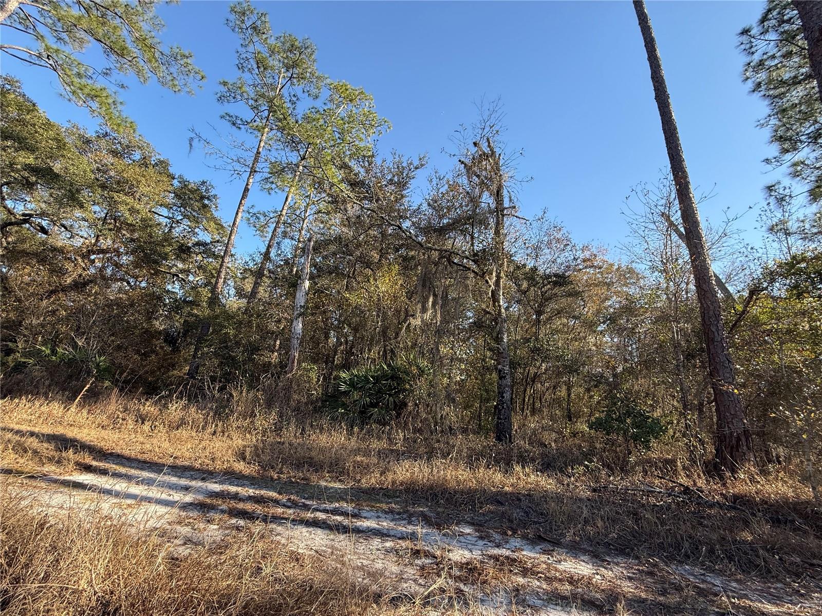 Image 9 of 19 For 000 126 Street