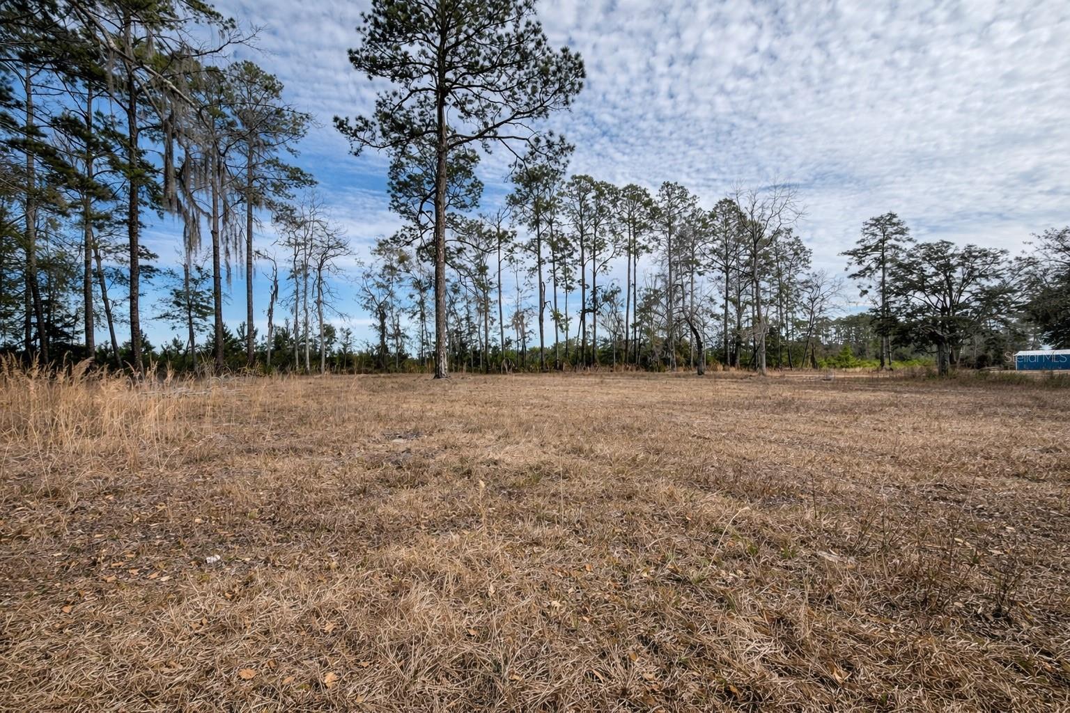 Image 54 of 57 For 355 Marvin Burnett Road