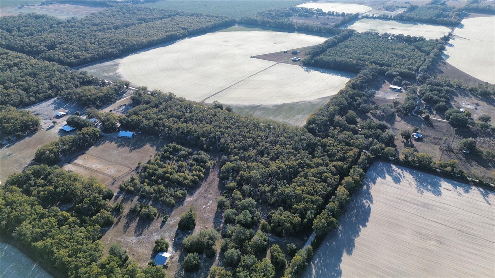 Image 6 of 9 For 3829 Rodeo Road