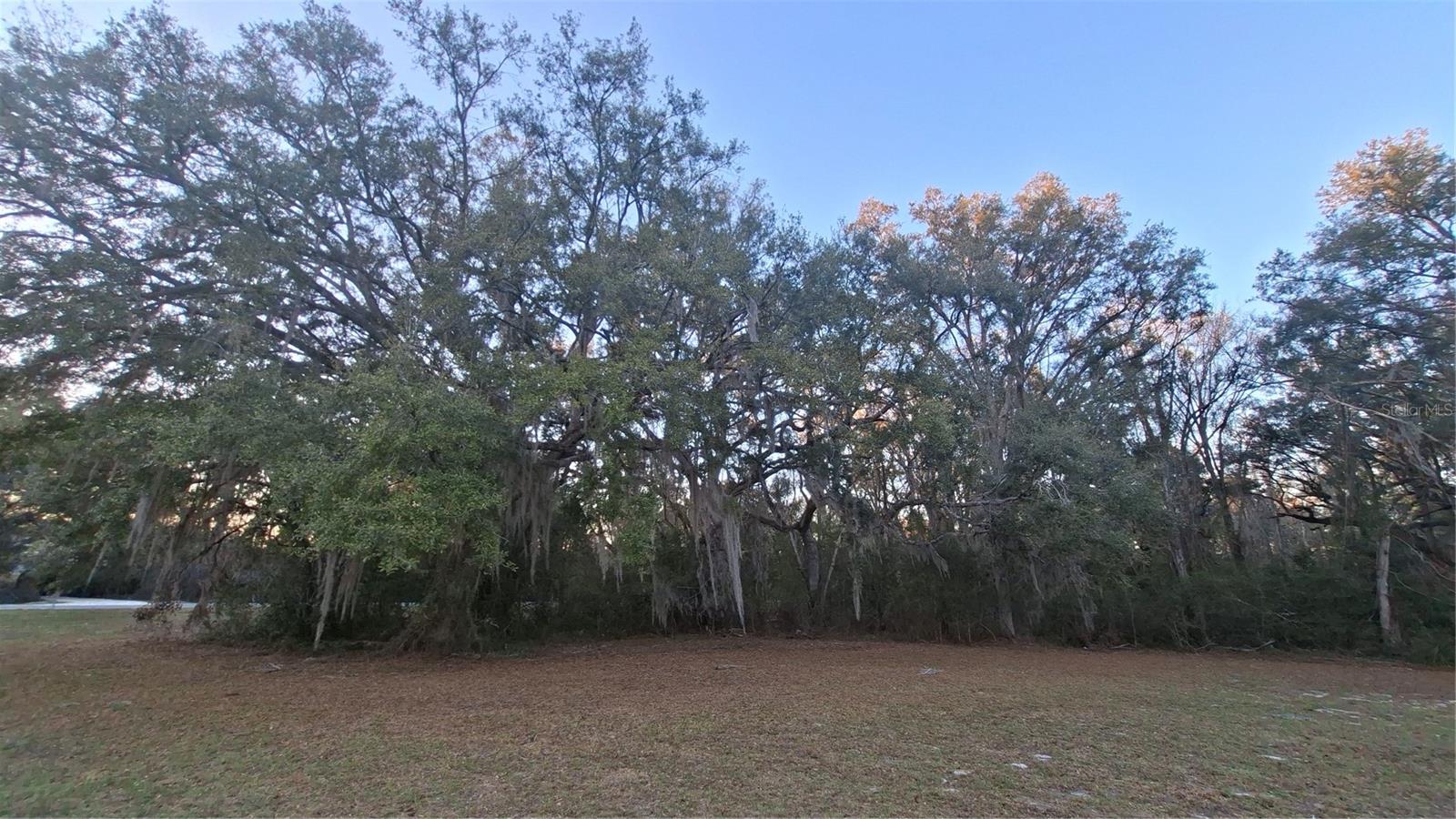 Image 15 of 34 For 3289 County Road 340