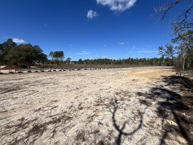 Image 3 of 8 For  56 Street 