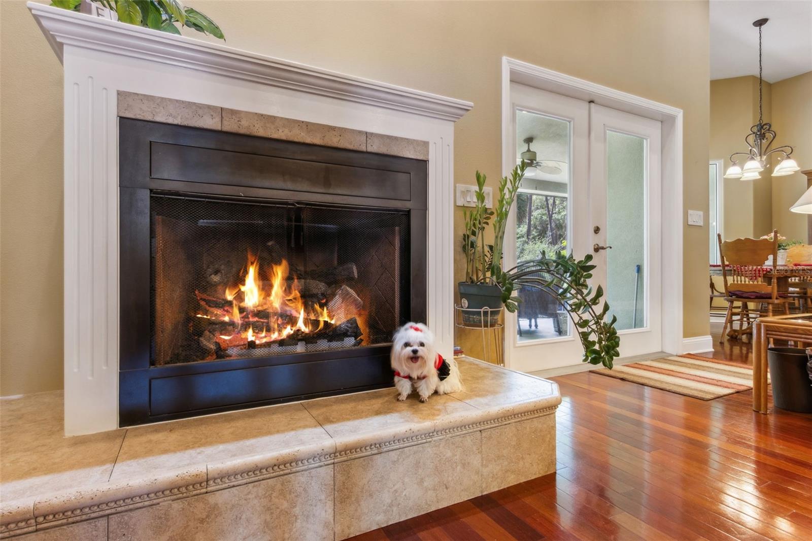 Image 20 of 67 For 166 Mount Royal Avenue