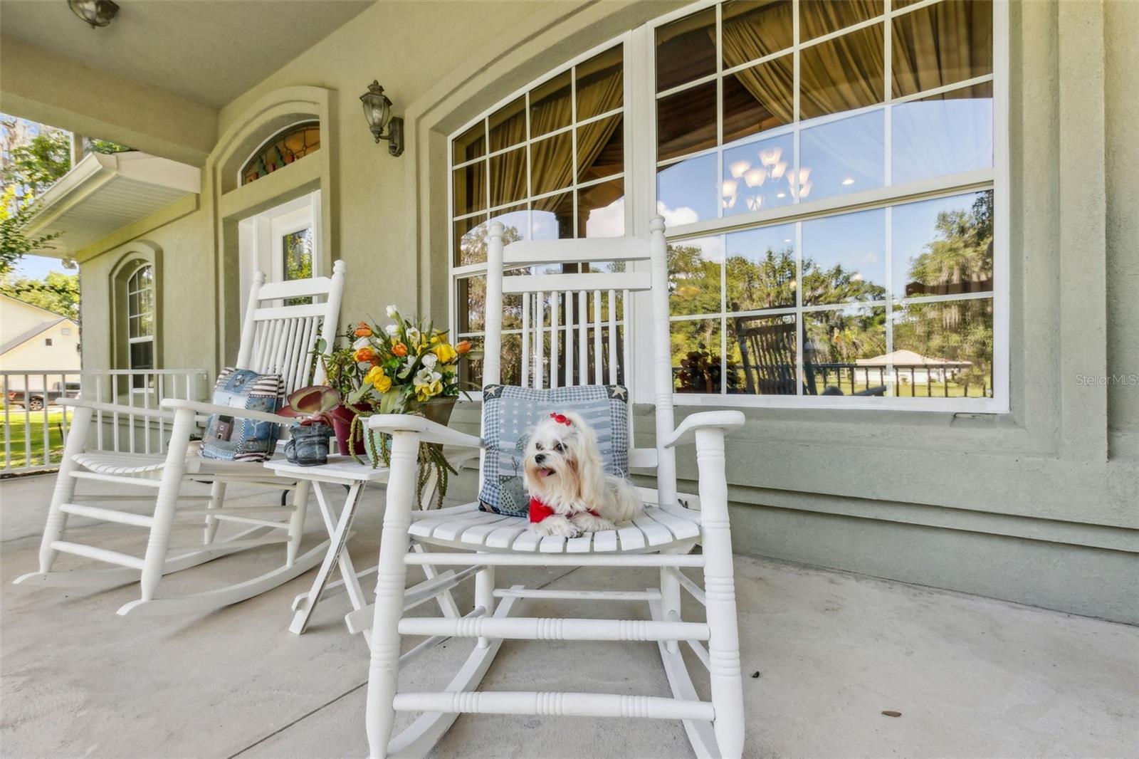 Image 4 of 67 For 166 Mount Royal Avenue