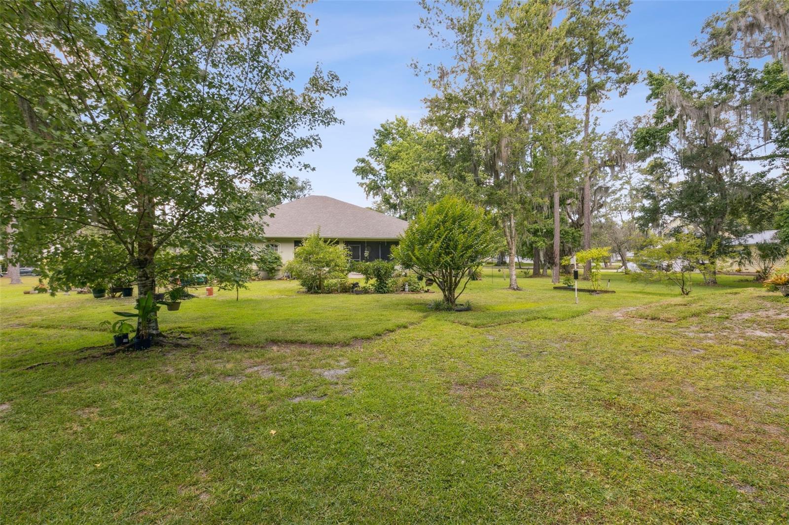 Image 47 of 67 For 166 Mount Royal Avenue