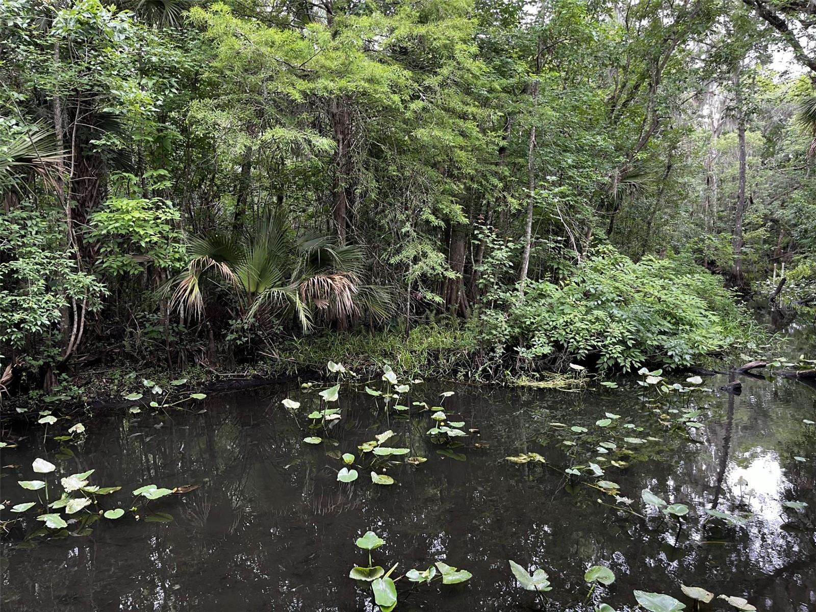 Image 53 of 67 For 166 Mount Royal Avenue