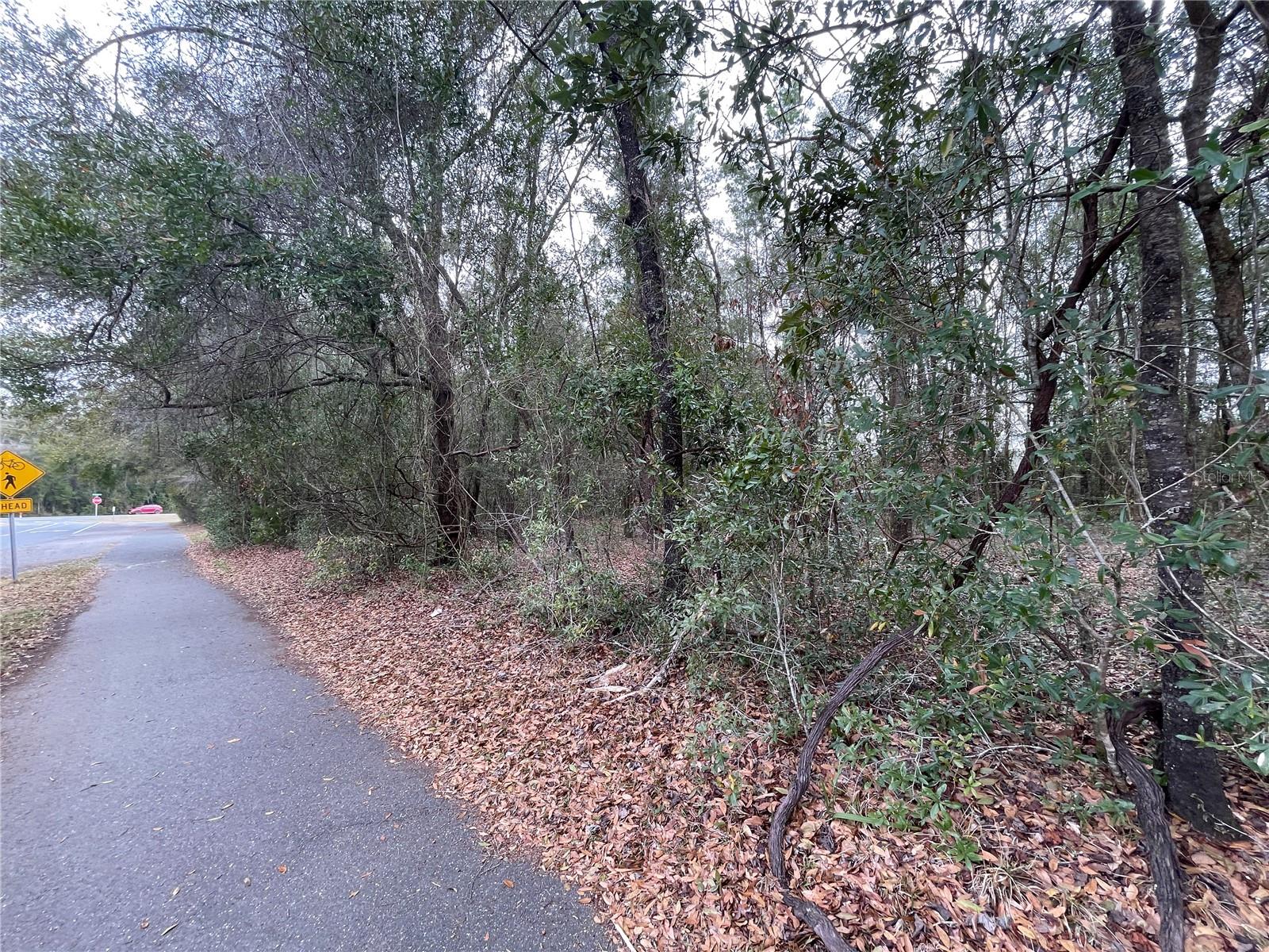 Image 13 of 26 For 8717 Archer Road