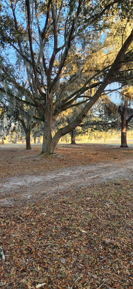 Image 34 of 36 For 15806 103rd Avenue