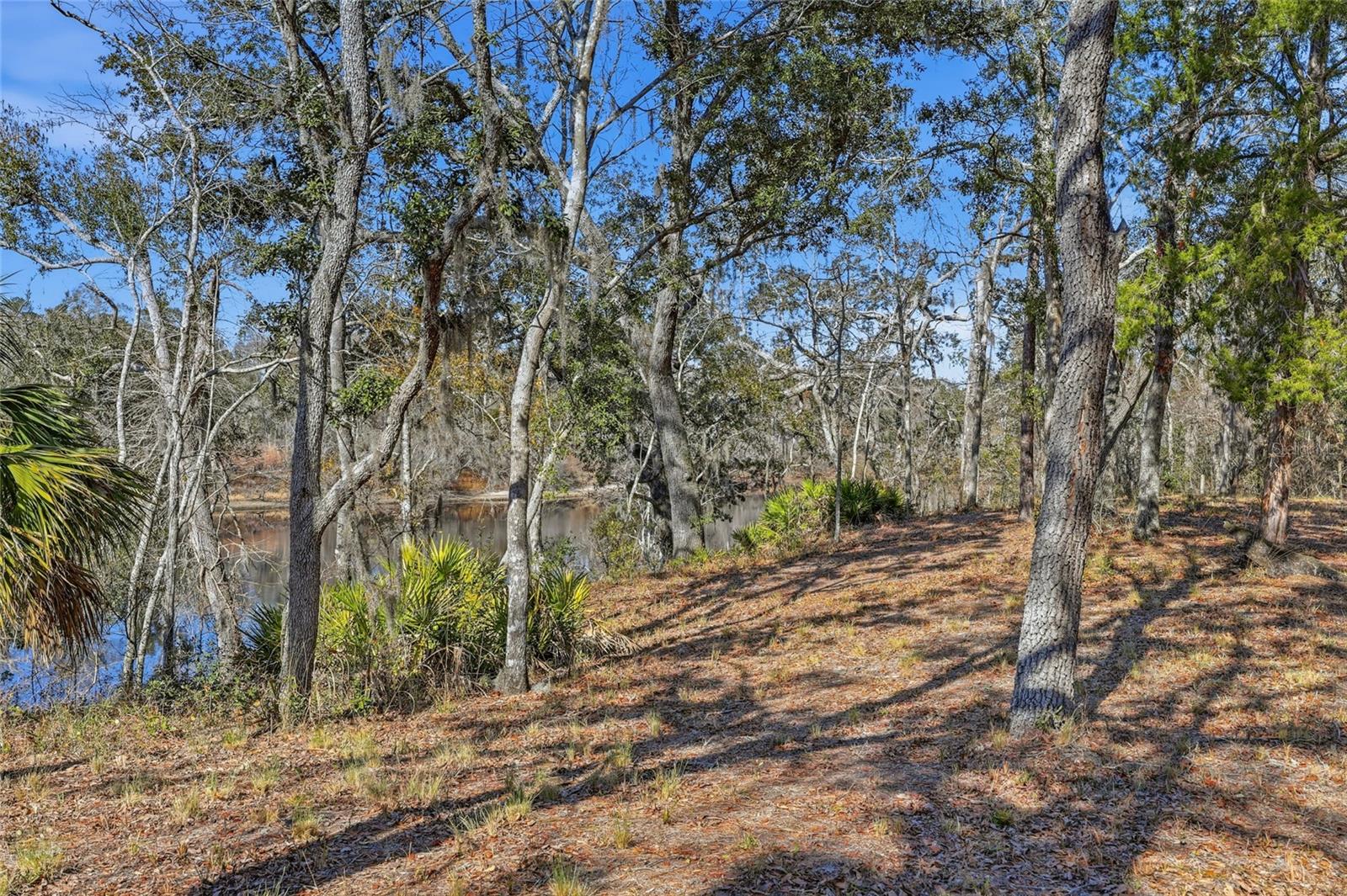 Image 42 of 42 For 18825 229th Drive