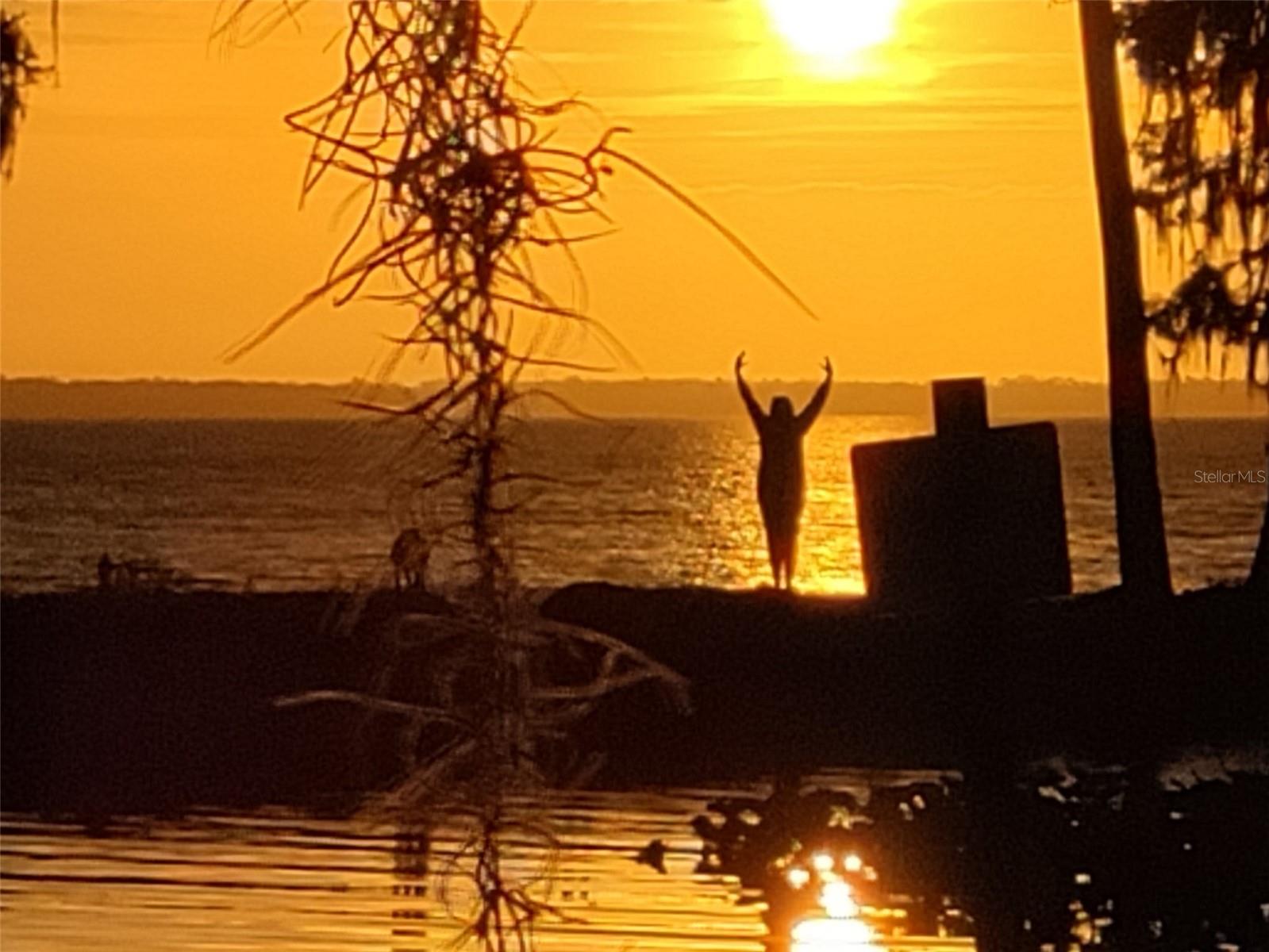 Image 54 of 57 For 213 Char Lane