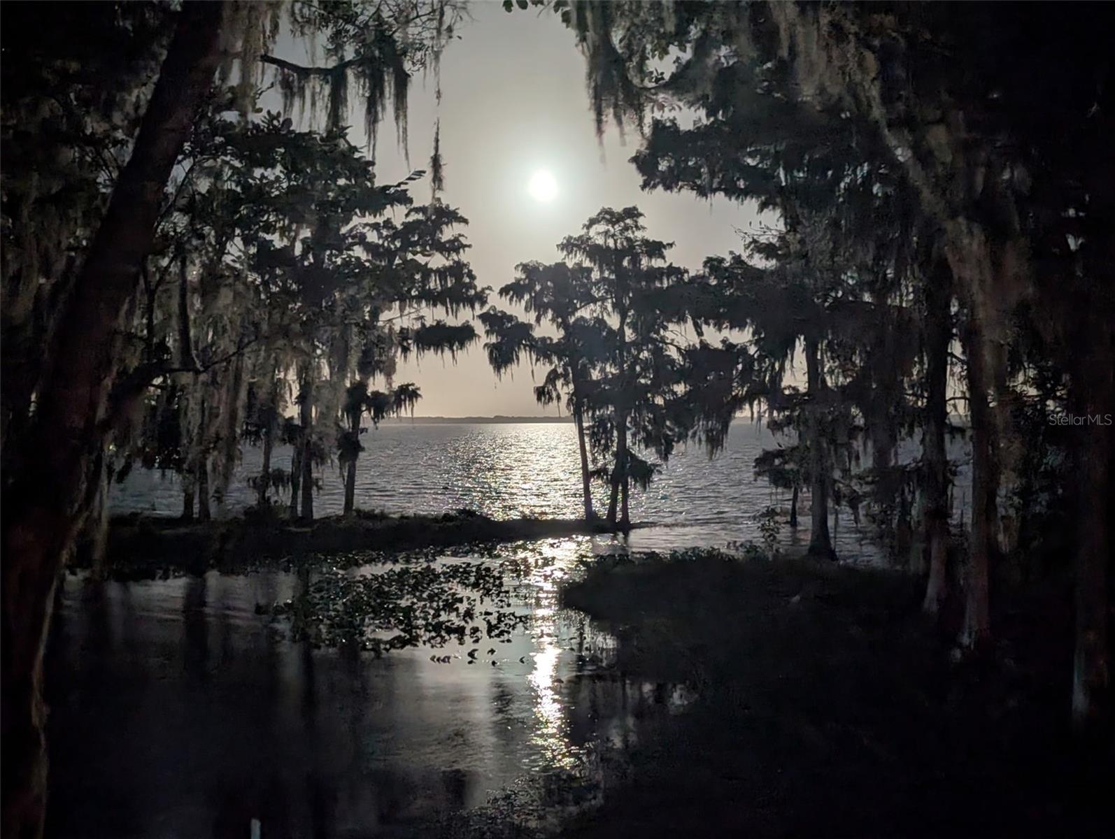 Image 57 of 57 For 213 Char Lane