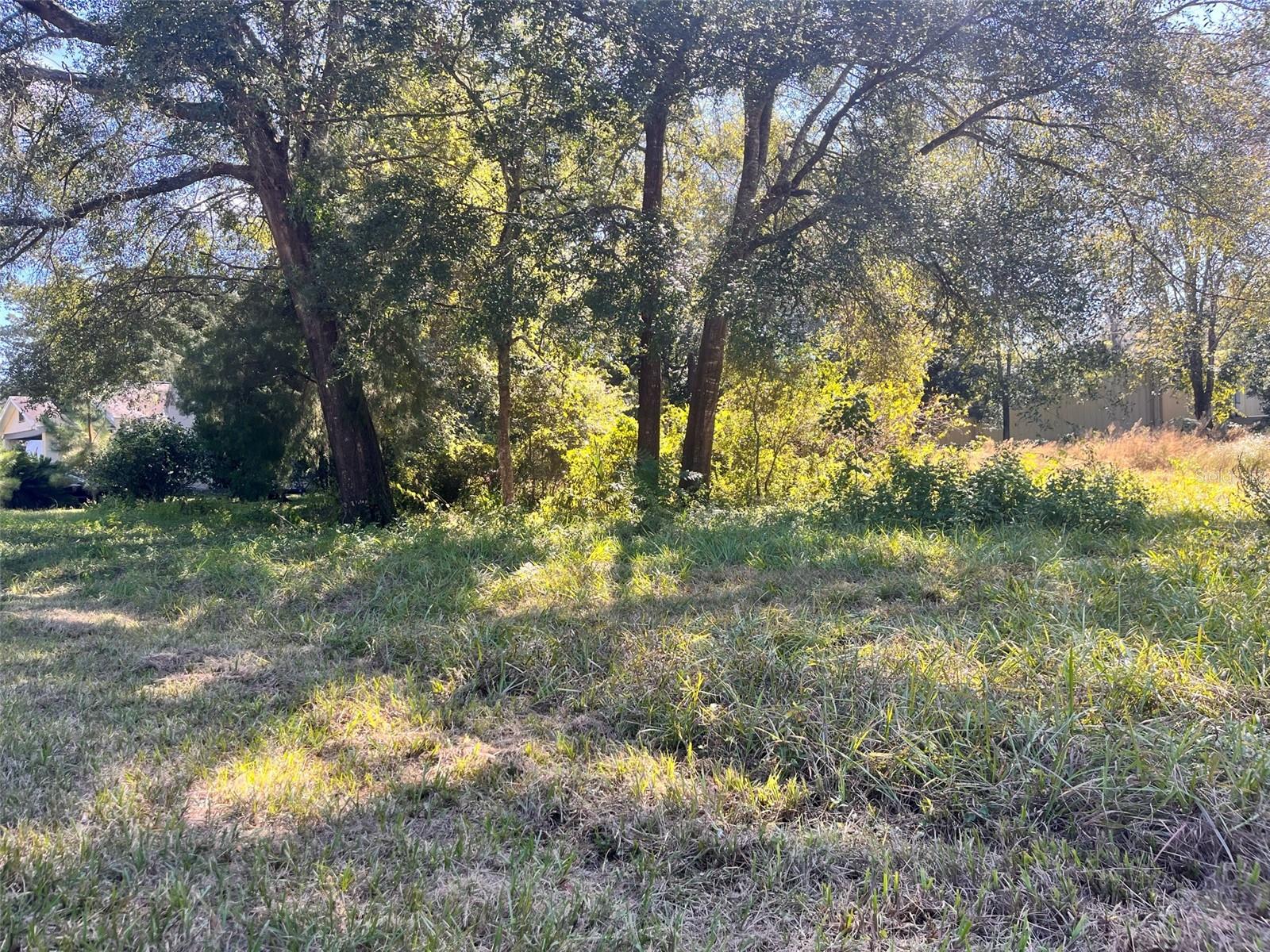 Image 4 of 9 For 0000 134th Avenue