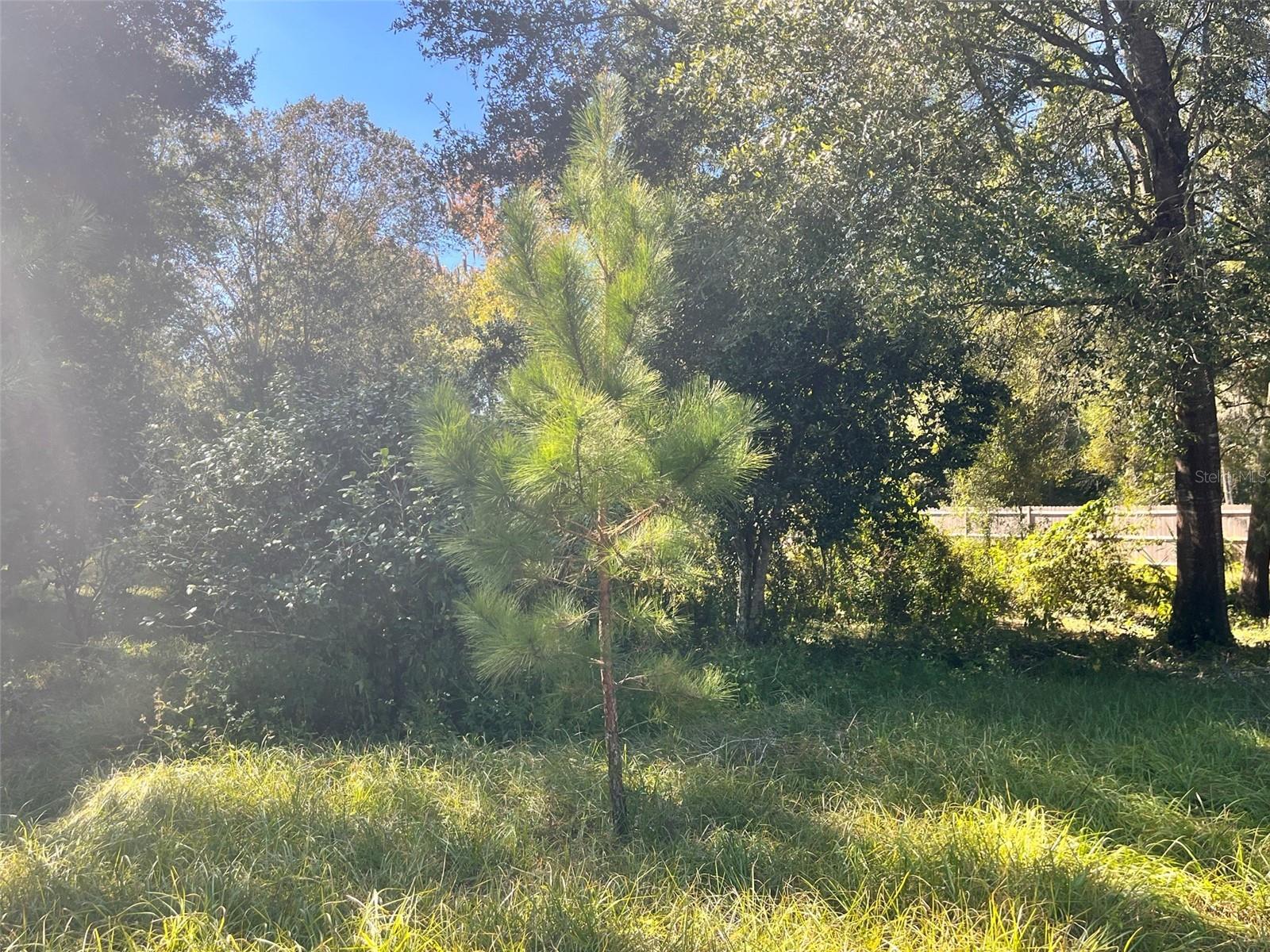 Image 6 of 9 For 0000 134th Avenue