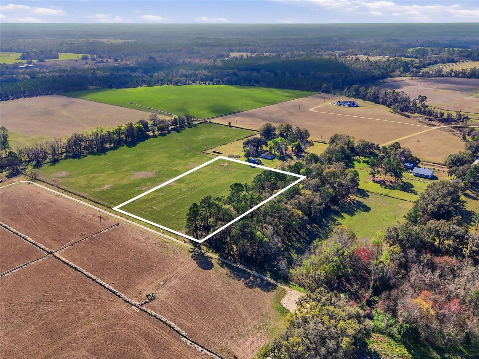 Image 6 of 6 For Tbd County Rd 239