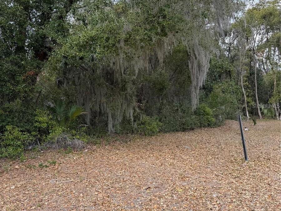 Details for  65th Avenue , HAWTHORNE, FL 32640