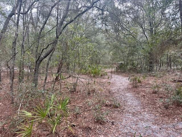 Image 10 of 12 For Nw 11th Avenue