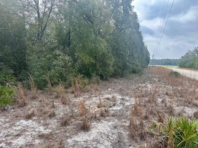 Image 4 of 12 For Nw 11th Avenue