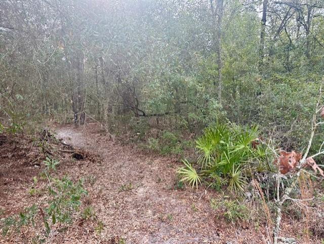 Image 5 of 12 For Nw 11th Avenue