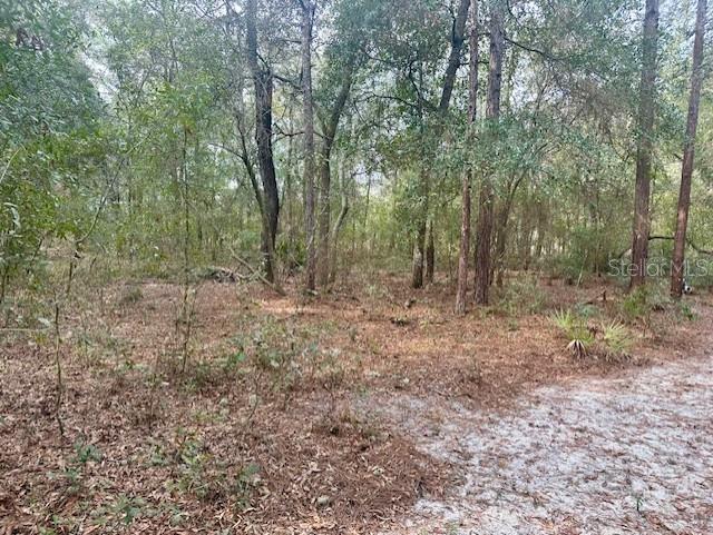 Image 6 of 12 For Nw 11th Avenue