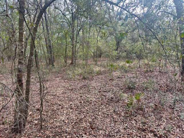 Image 7 of 12 For Nw 11th Avenue