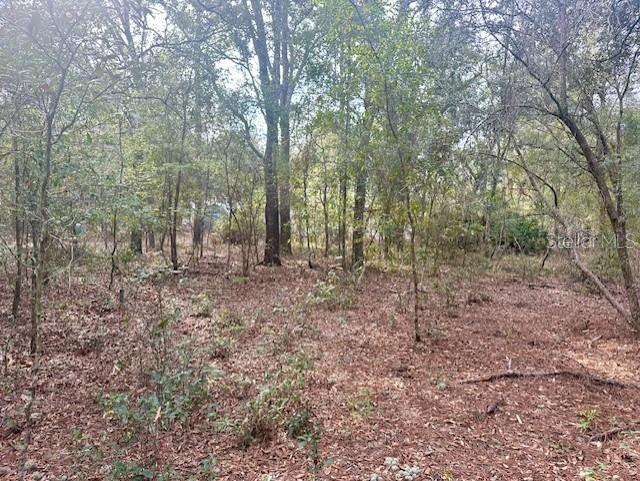 Image 8 of 12 For Nw 11th Avenue