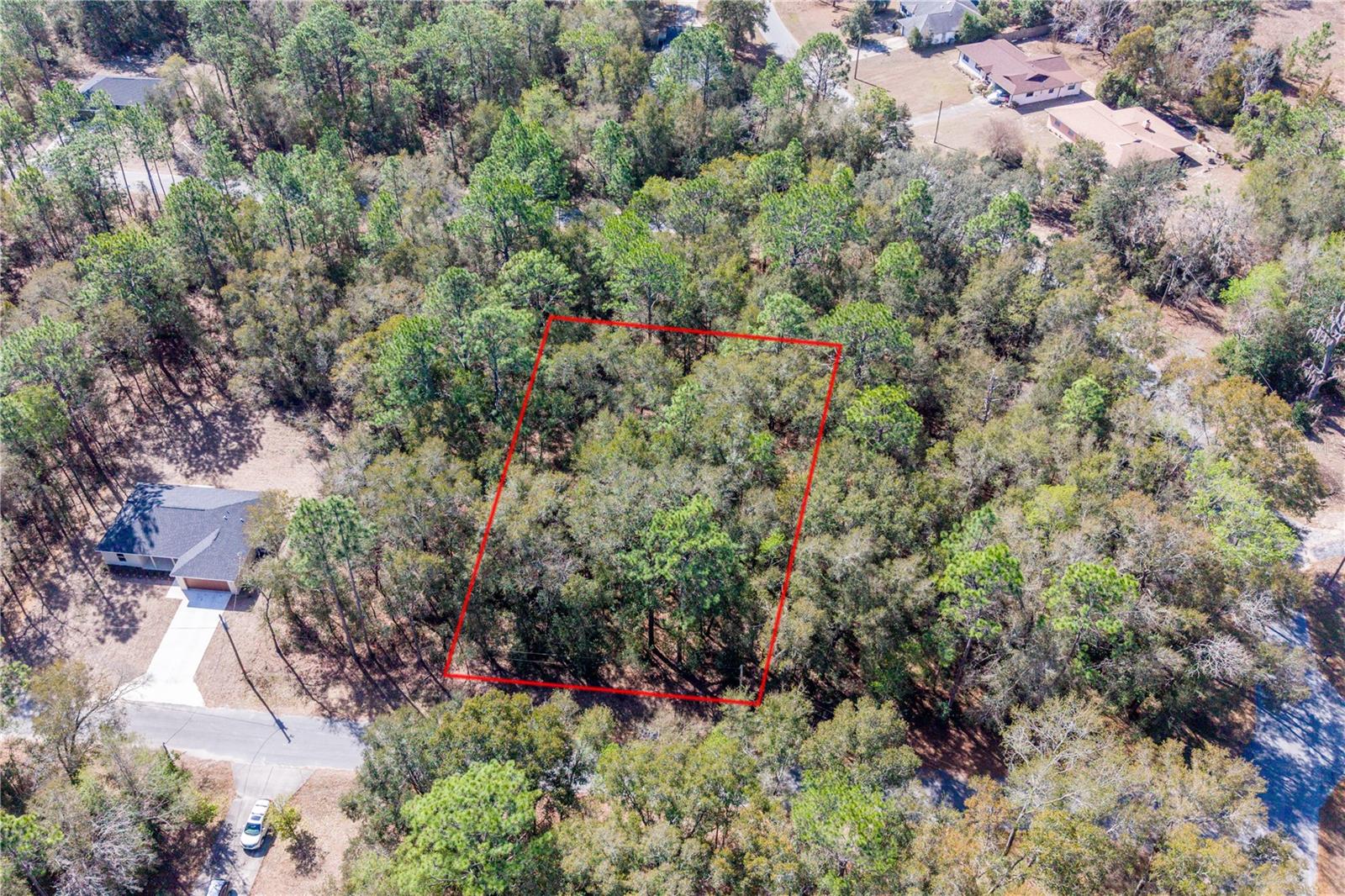 Details for Tbd 2nd St, Lot 10, WILLISTON, FL 32696