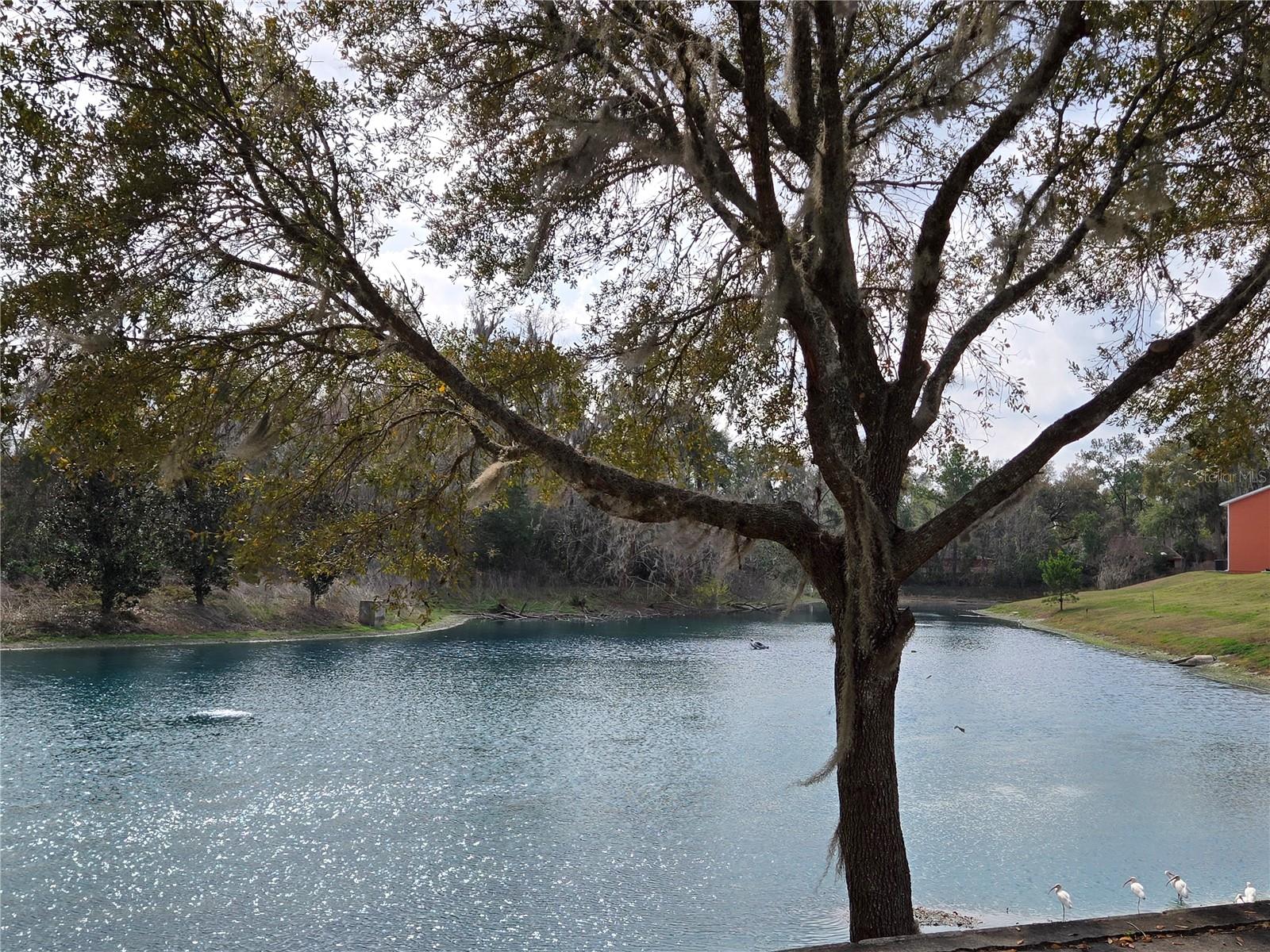 Image 47 of 48 For 1601 29th Road 3