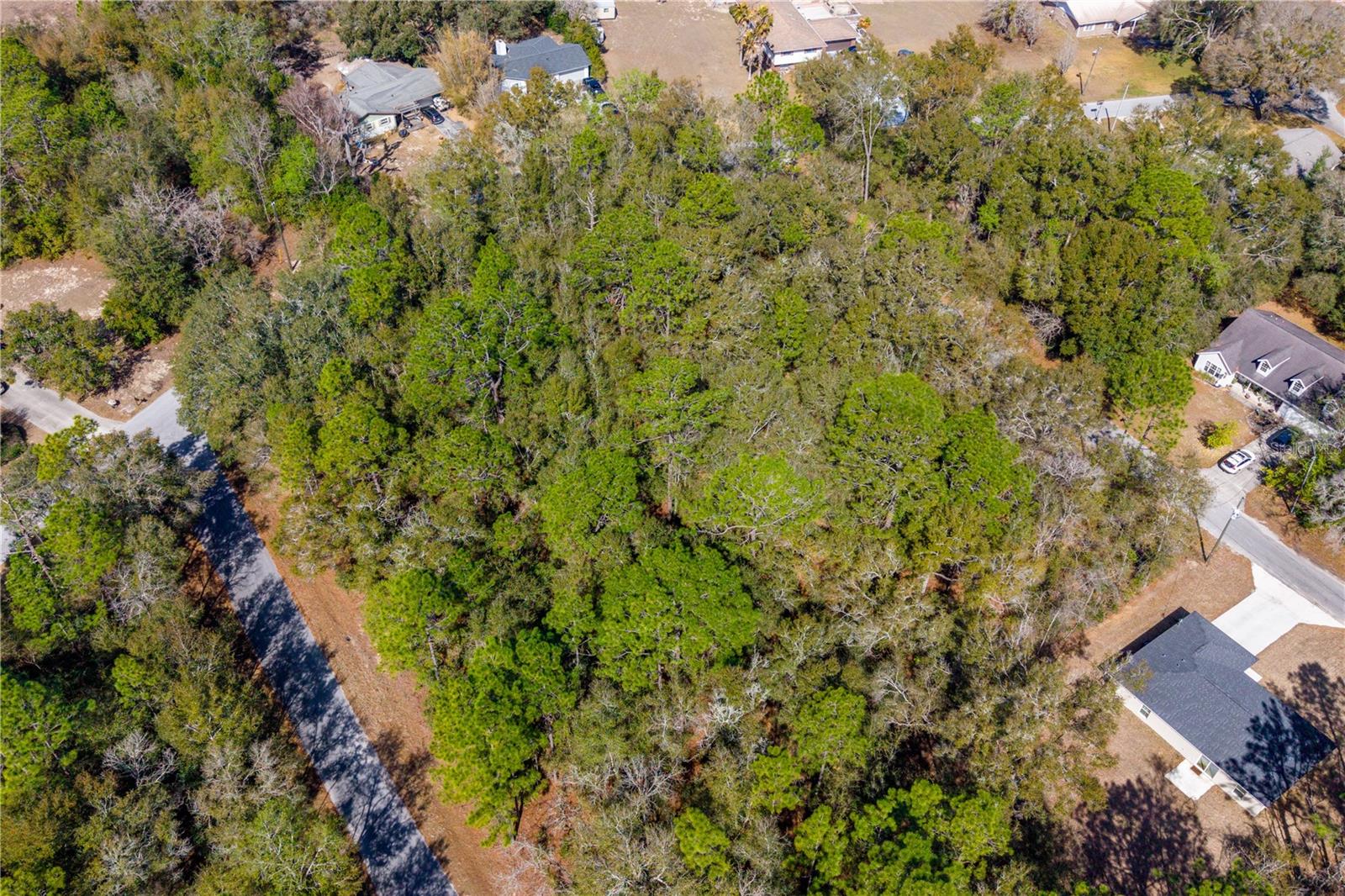 Listing photo id 4 for Tbd 1st Pl, Lot 6