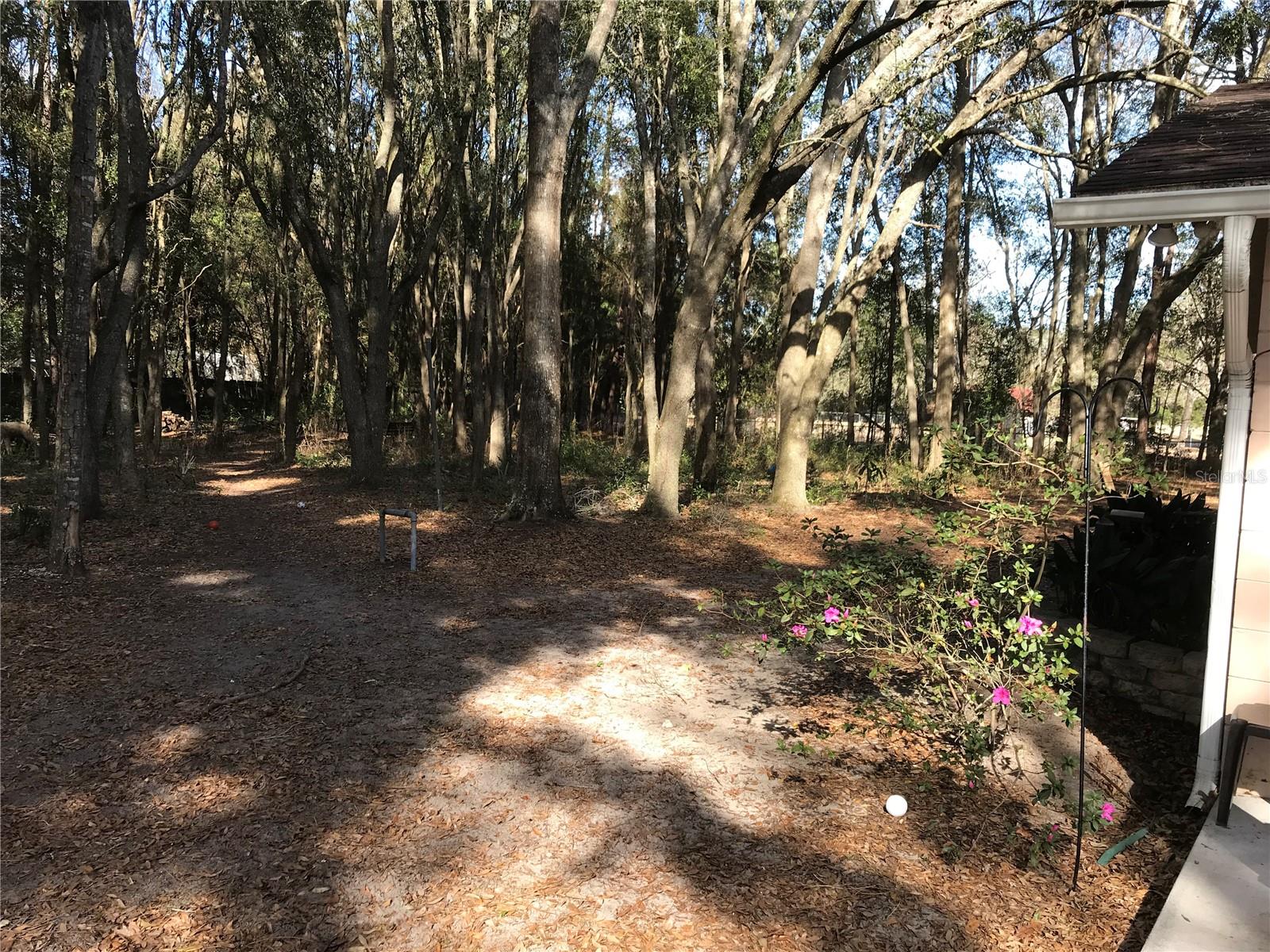 Image 5 of 24 For 10814 89th Court