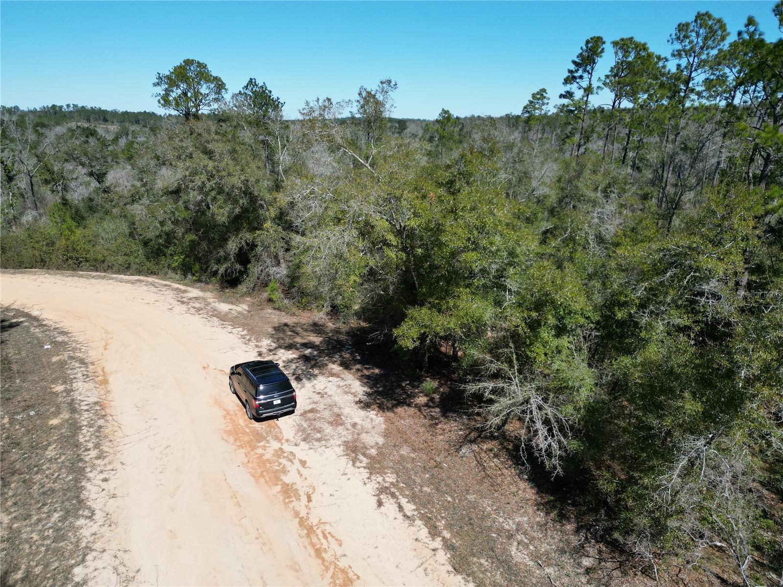 Image 3 of 8 For Blueberry Court