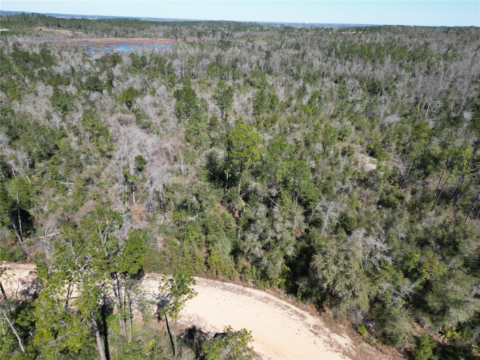 Image 4 of 8 For Blueberry Court