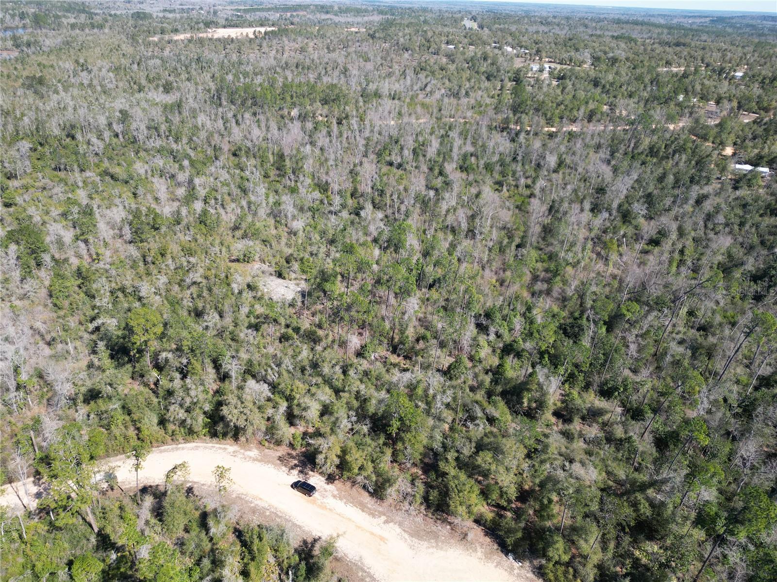 Image 5 of 8 For Blueberry Court