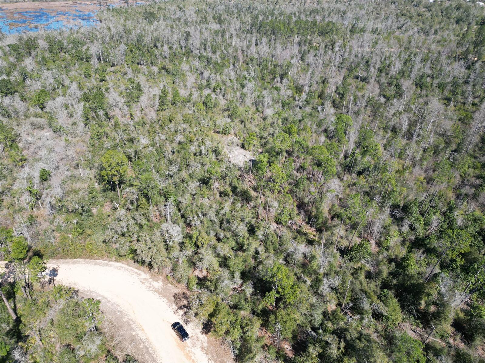 Image 6 of 8 For Blueberry Court