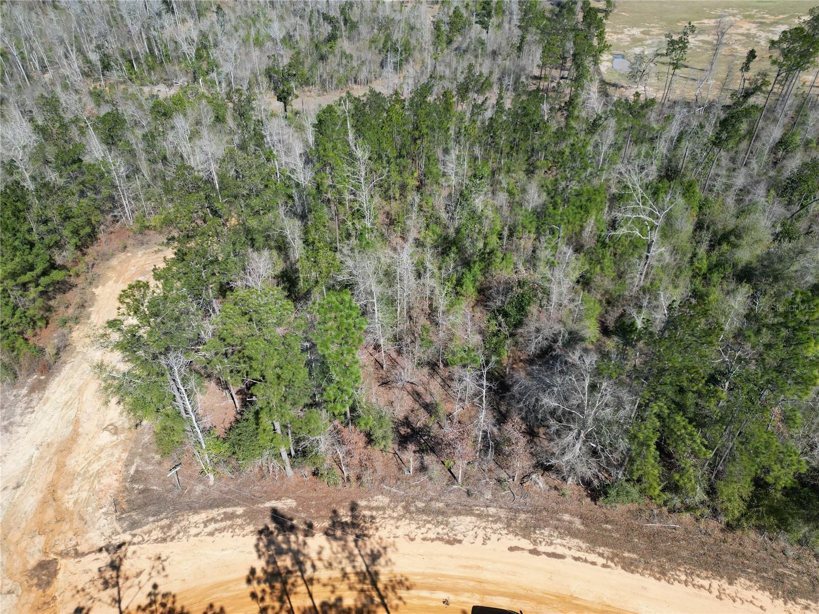 Image 4 of 6 For Clinton Court