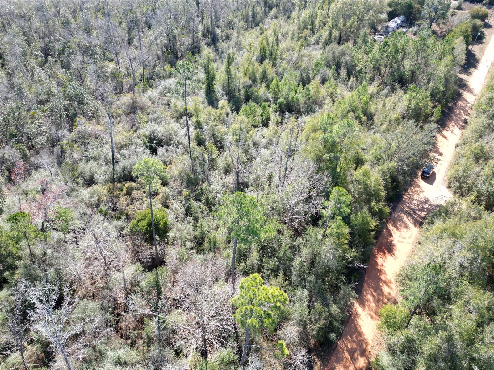 Image 2 of 7 For Mckinney Lane