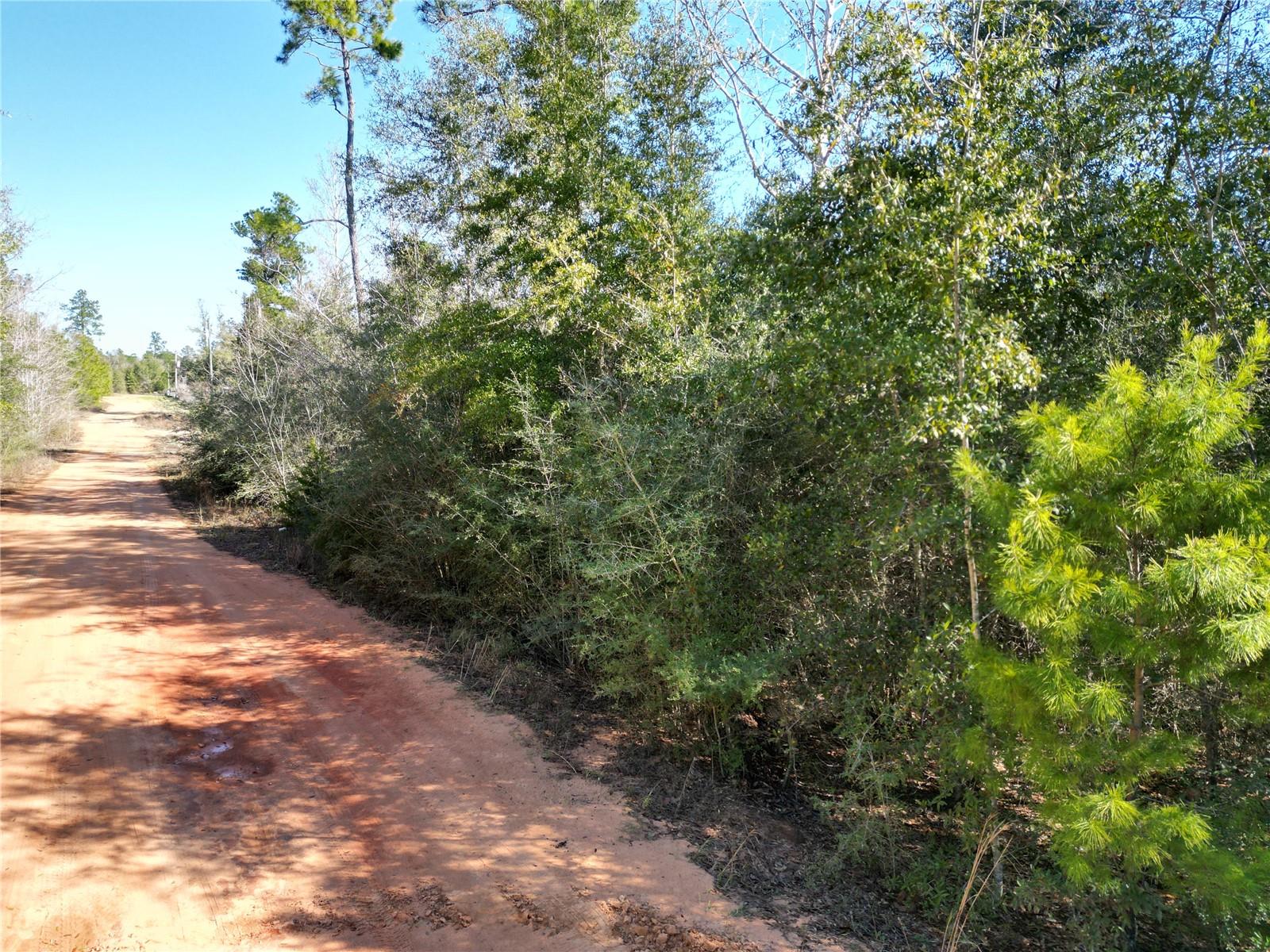 Image 3 of 7 For Mckinney Lane